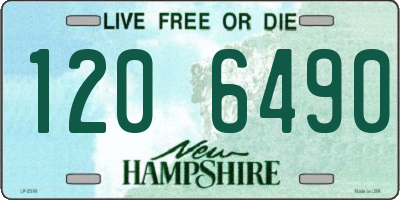 NH license plate 1206490