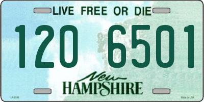 NH license plate 1206501