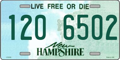 NH license plate 1206502