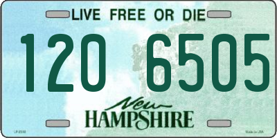 NH license plate 1206505