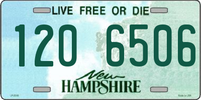 NH license plate 1206506