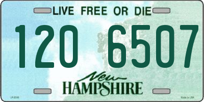 NH license plate 1206507