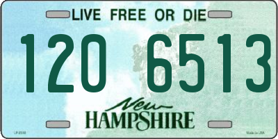 NH license plate 1206513