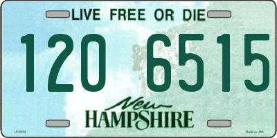 NH license plate 1206515