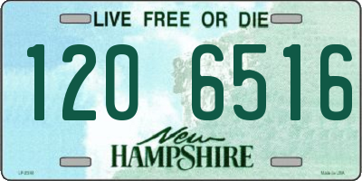 NH license plate 1206516