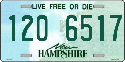 NH license plate 1206517
