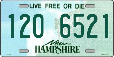 NH license plate 1206521