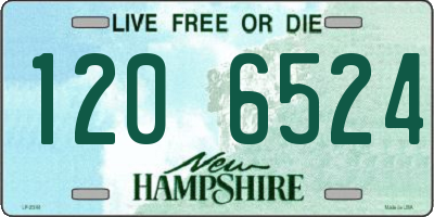 NH license plate 1206524