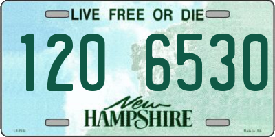 NH license plate 1206530