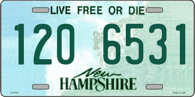 NH license plate 1206531