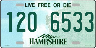 NH license plate 1206533