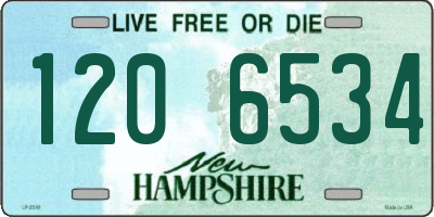 NH license plate 1206534