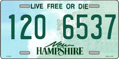 NH license plate 1206537