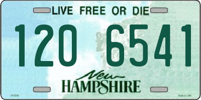 NH license plate 1206541