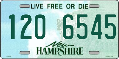 NH license plate 1206545