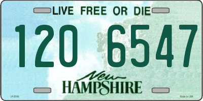 NH license plate 1206547