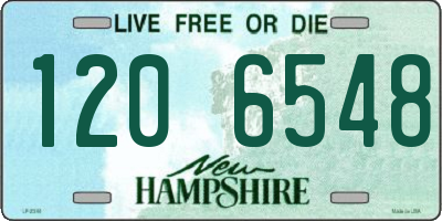 NH license plate 1206548