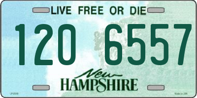 NH license plate 1206557