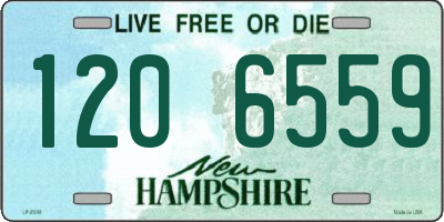 NH license plate 1206559