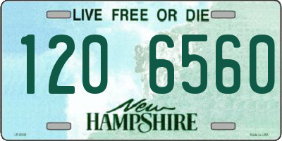 NH license plate 1206560