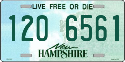 NH license plate 1206561