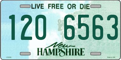 NH license plate 1206563