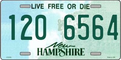 NH license plate 1206564