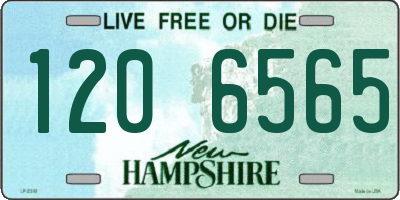 NH license plate 1206565