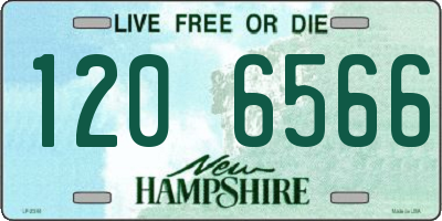 NH license plate 1206566