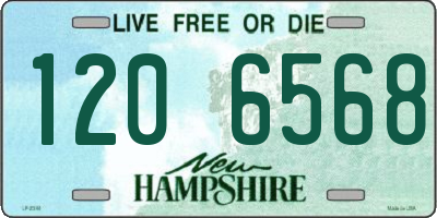 NH license plate 1206568