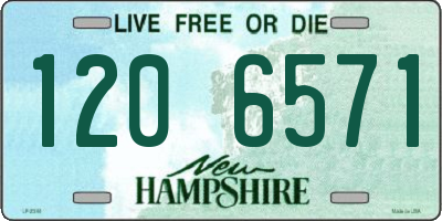 NH license plate 1206571