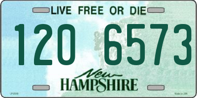 NH license plate 1206573