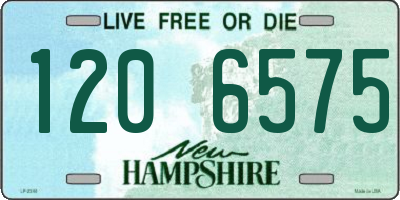 NH license plate 1206575