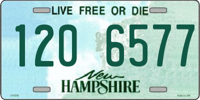NH license plate 1206577