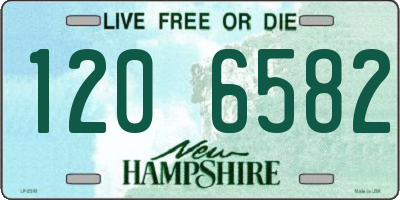 NH license plate 1206582