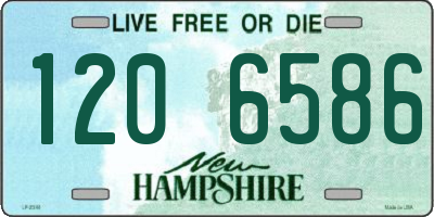 NH license plate 1206586