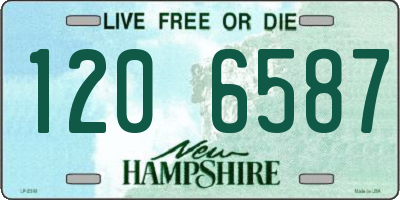 NH license plate 1206587