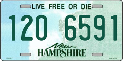 NH license plate 1206591
