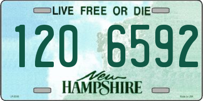 NH license plate 1206592