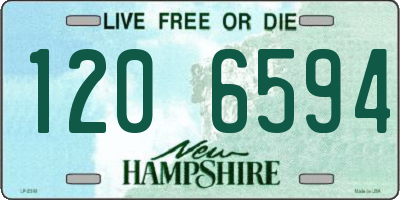 NH license plate 1206594