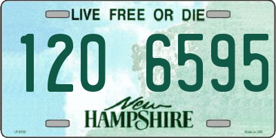 NH license plate 1206595
