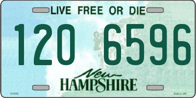 NH license plate 1206596