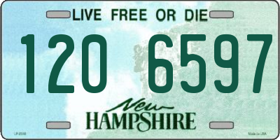 NH license plate 1206597