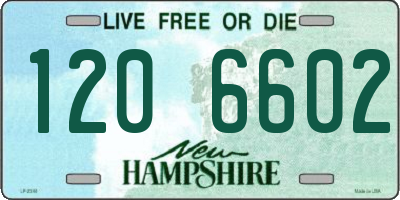 NH license plate 1206602