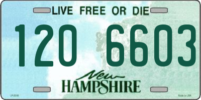NH license plate 1206603