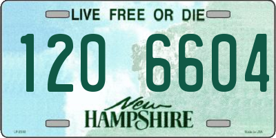 NH license plate 1206604