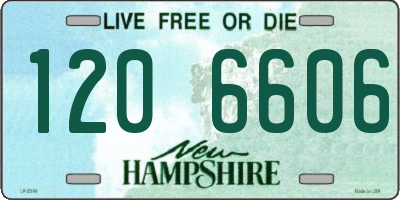 NH license plate 1206606