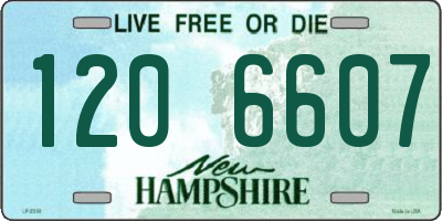 NH license plate 1206607