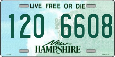 NH license plate 1206608