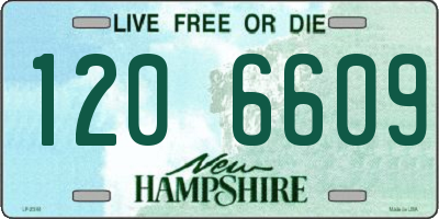 NH license plate 1206609